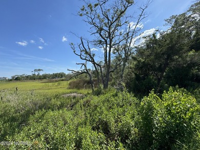 Large Intracoastal waterfront tract on Myrtle Grove Sound. Based - photo 3