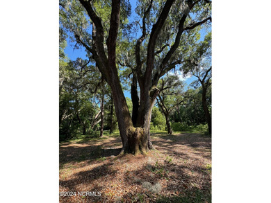 Large Intracoastal waterfront tract on Myrtle Grove Sound. Based - photo 8