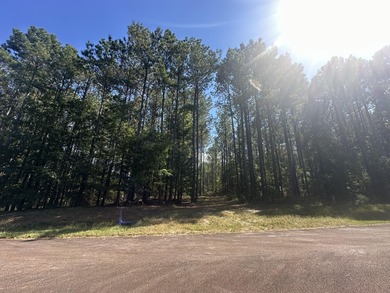 Strom Thurmond / Clarks Hill Lake Lot For Sale in Lincolnton Georgia