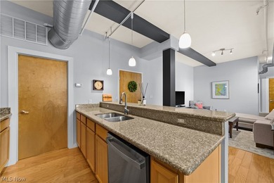 Welcome to Franklin Lofts in the heart of Ohio City's vibrant - photo 11