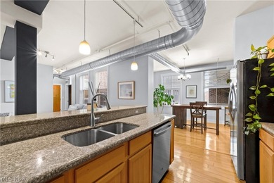 Welcome to Franklin Lofts in the heart of Ohio City's vibrant - photo 12