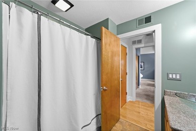 Welcome to Franklin Lofts in the heart of Ohio City's vibrant - photo 18