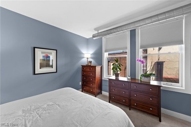 Welcome to Franklin Lofts in the heart of Ohio City's vibrant - photo 20