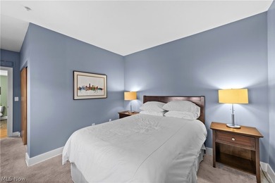 Welcome to Franklin Lofts in the heart of Ohio City's vibrant - photo 21