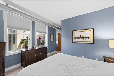 Welcome to Franklin Lofts in the heart of Ohio City's vibrant - photo 22