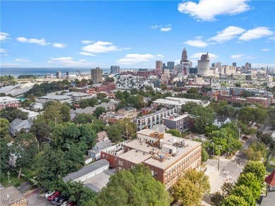 Welcome to Franklin Lofts in the heart of Ohio City's vibrant - photo 27