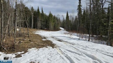 Crane Lake building site off year-round maintained blacktop - photo 8