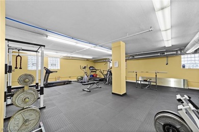 Welcome to Franklin Lofts in the heart of Ohio City's vibrant - photo 31