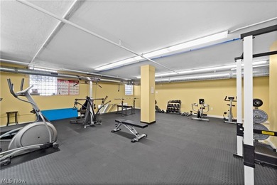 Welcome to Franklin Lofts in the heart of Ohio City's vibrant - photo 32