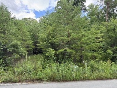 Build your dream home in one of Cherokee Lake's premier gated - photo 2