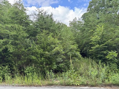 Build your dream home in one of Cherokee Lake's premier gated - photo 4