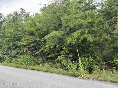 Build your dream home in one of Cherokee Lake's premier gated - photo 10