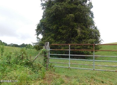 Norris Lake Acreage For Sale in Lafollette Tennessee