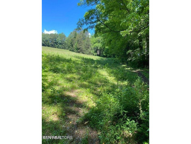 Norris Lake Acreage For Sale in Lafollette Tennessee