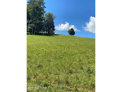 Norris Lake Acreage For Sale in Lafollette Tennessee