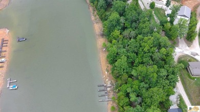 WATERFRONT- ROUGH RIVER! Rare double lot totaling just over half - photo 10