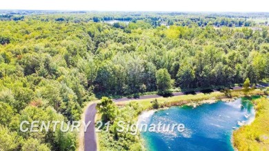 (private lake, pond, creek) Lot For Sale in Hemlock Michigan