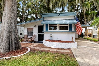 Lake Home For Sale in Tavares, Florida