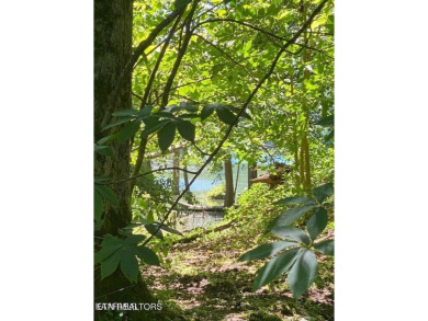 Norris Lake Acreage For Sale in Lafollette Tennessee