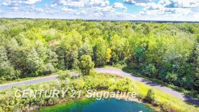 (private lake, pond, creek) Lot For Sale in Hemlock Michigan