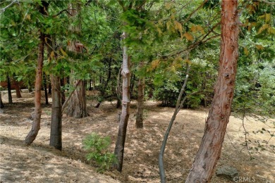 Lake Lot For Sale in Lake Arrowhead, California