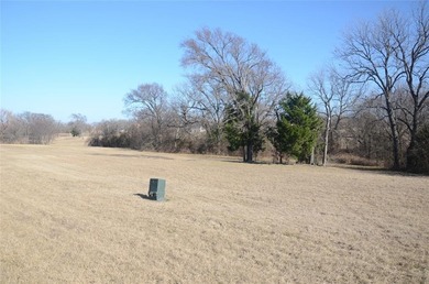 Lake Texoma Lot For Sale in Gordonville Texas