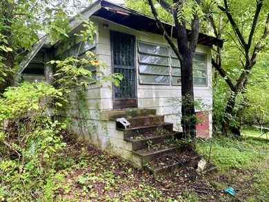Investment opportunity in South Knoxville! This property is - photo 3
