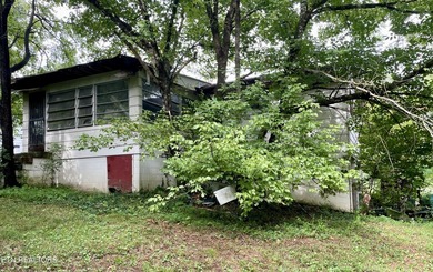 Investment opportunity in South Knoxville! This property is - photo 4