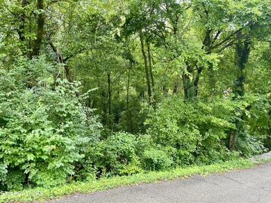 Investment opportunity in South Knoxville! This property is - photo 1