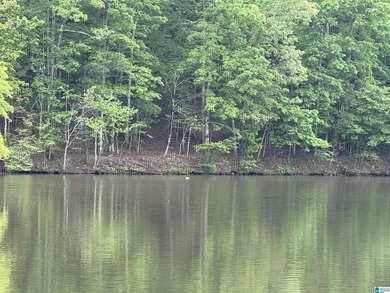 1.54+/- Acres on Beautiful Lake Wedowee 353+/ Feet of Shoreline! - photo 1