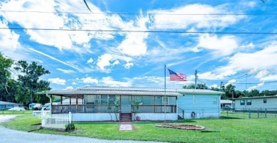 Lake Home For Sale in Lake Panasoffkee, Florida