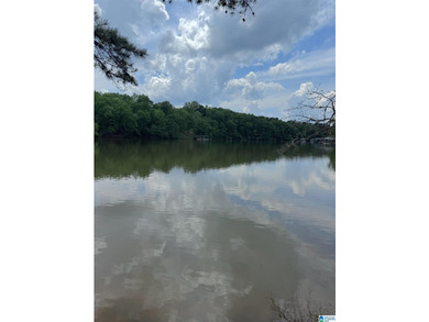 1.54+/- Acres on Beautiful Lake Wedowee 353+/ Feet of Shoreline! - photo 2