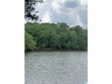 1.54+/- Acres on Beautiful Lake Wedowee 353+/ Feet of Shoreline! - photo 3