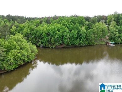 1.54+/- Acres on Beautiful Lake Wedowee 353+/ Feet of Shoreline! - photo 5