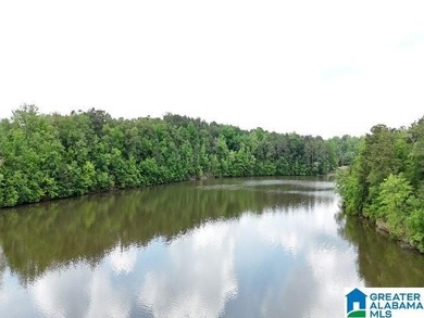 1.54+/- Acres on Beautiful Lake Wedowee 353+/ Feet of Shoreline! - photo 6