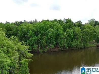 1.54+/- Acres on Beautiful Lake Wedowee 353+/ Feet of Shoreline! - photo 7