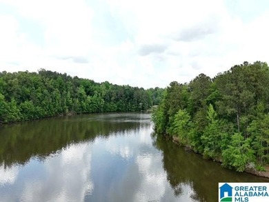 1.54+/- Acres on Beautiful Lake Wedowee 353+/ Feet of Shoreline! - photo 8
