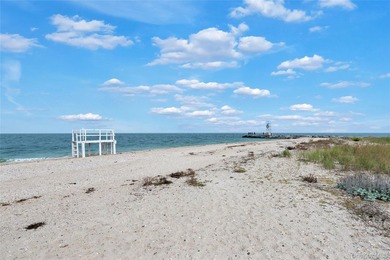 Brand new exquisite waterfront 6 bedroom, 7 bathroom home set on - photo 46