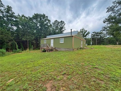 Lake Dardanelle Home For Sale in Delaware Arkansas