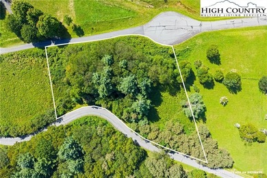 (private lake, pond, coastal) Lot For Sale in Boone North Carolina