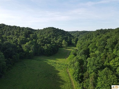 Cumberland River - Cumberland County Acreage For Sale in Burkesville Kentucky