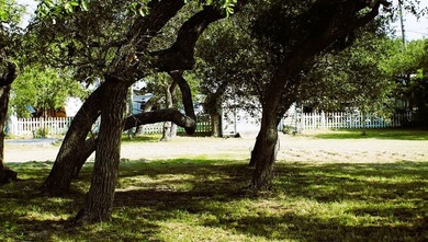 These 2 Waterview lots are just yards away from the unique Kayak - photo 10