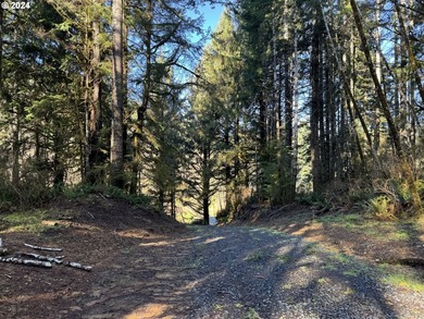 11.78 +/- ACRE LOT AVAILABLE ON DEVORE ARM WITH TENMILE LAKE - photo 1