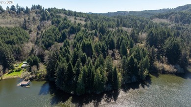 11.78 +/- ACRE LOT AVAILABLE ON DEVORE ARM WITH TENMILE LAKE - photo 2