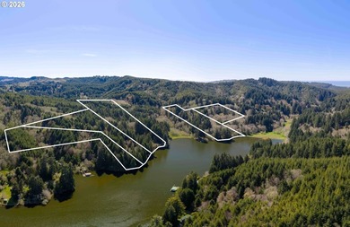 11.78 +/- ACRE LOT AVAILABLE ON DEVORE ARM WITH TENMILE LAKE - photo 4