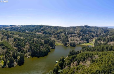 11.78 +/- ACRE LOT AVAILABLE ON DEVORE ARM WITH TENMILE LAKE - photo 5