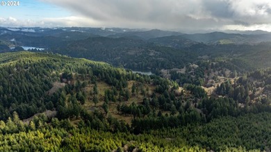 11.78 +/- ACRE LOT AVAILABLE ON DEVORE ARM WITH TENMILE LAKE - photo 8