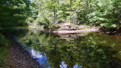 Lake Acreage For Sale in Alger, Michigan