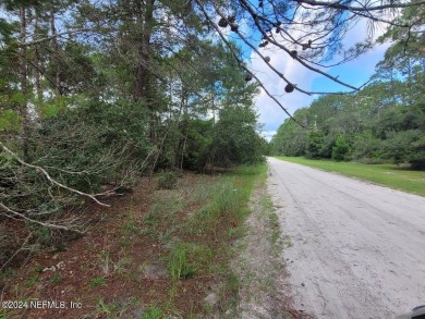 (private lake, pond, creek) Lot For Sale in Georgetown Florida