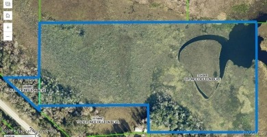 Lake Acreage For Sale in Brooksville, Florida